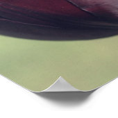 Poster Fleur de tulipe pourpre foncé (Coin)