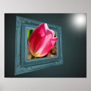 Poster Fleur De Tulipe Rose Sortie Du Cadre