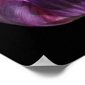 Poster Fleur de tulipe violette (Coin)