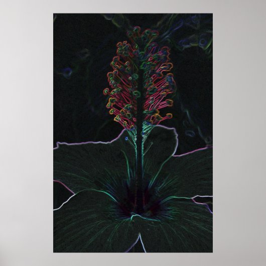 Poster fleur de velours (Devant)