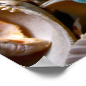 Poster Fleur de verre de mer blanc (Coin)