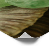 Poster Fleur de verre de mer vert (Coin)