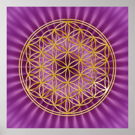 Poster Fleur De Vie | or, brillance magenta (Devant)