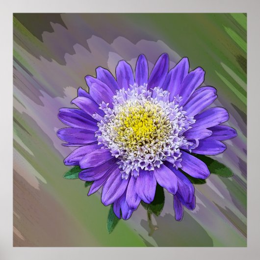 Poster fleur de violet bleu (Devant)