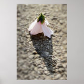 Poster Fleur d'échecs (Devant)