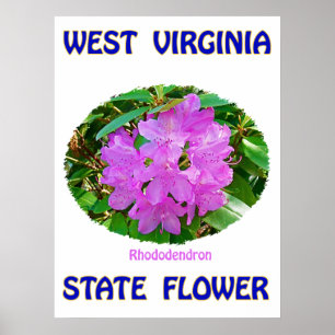 Poster Fleur d'état de la Virginie Occidentale,