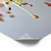 Poster Fleur d'été Fuchsia Hawkshead blanc (Coin)