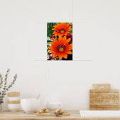 Poster Fleur d'été Orange Gazania (Cuisine)