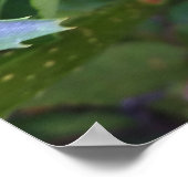 Poster Fleur d'été rose (Coin)