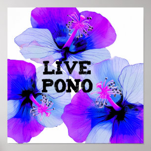 Poster Fleur d'Hibiscus Hawaïen Violet Bleu Live Pono