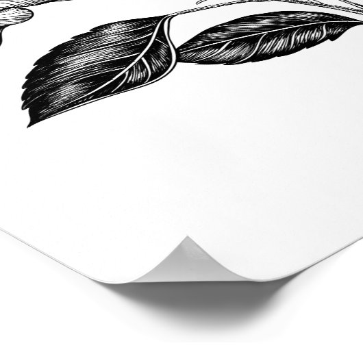 Poster Fleur d'Hibiscus III (Coin)