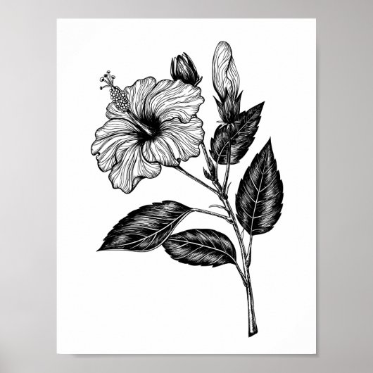 Poster Fleur d'Hibiscus III (Devant)