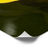 Poster Fleur d'Hibiscus jaune (Coin)