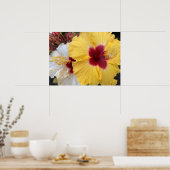 Poster Fleur d'Hibiscus jaune (Cuisine)