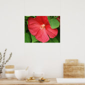 Poster Fleur d'Hibiscus Magenta Clair Floral (Cuisine)