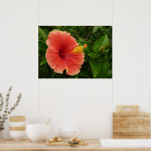 Poster Fleur d'Hibiscus Orange Florale Tropicale (Cuisine)
