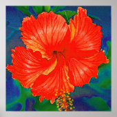 Poster Fleur d'hibiscus rouge (Devant)