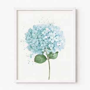Poster Fleur d'hortensia à l'aquarelle bleu pastel