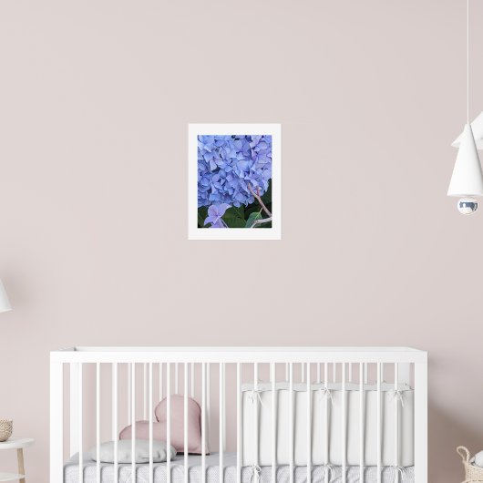 Poster Fleur d'Hydrangea à Tête Bleue (Pépinière 2)
