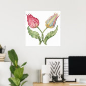 Poster Fleur d'illustration botanique vintage Tulip (Bureau à domicile)