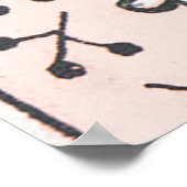 Poster Fleur d'illustration Rose sauvage Vintage (Coin)