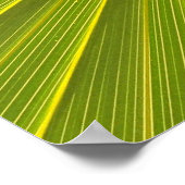 Poster Fleur d'Iris (Coin)