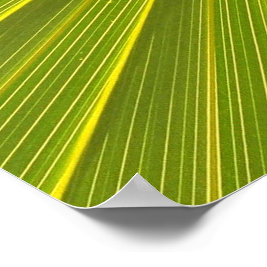 Poster Fleur d'Iris (Coin)