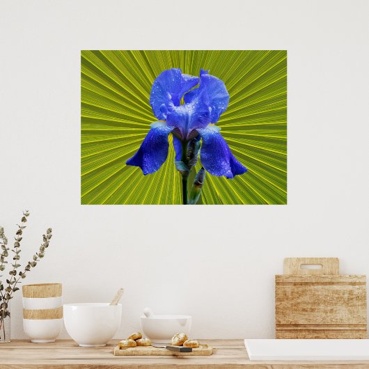 Poster Fleur d'Iris (Cuisine)