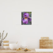 Poster Fleur d'Iris barbu Lavande rêveuse (Cuisine)