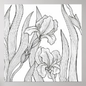 Poster Fleur d'Iris conçue à l'encre noire (Devant)