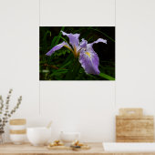 Poster Fleur d'Iris sauvage Floral pourpre (Cuisine)