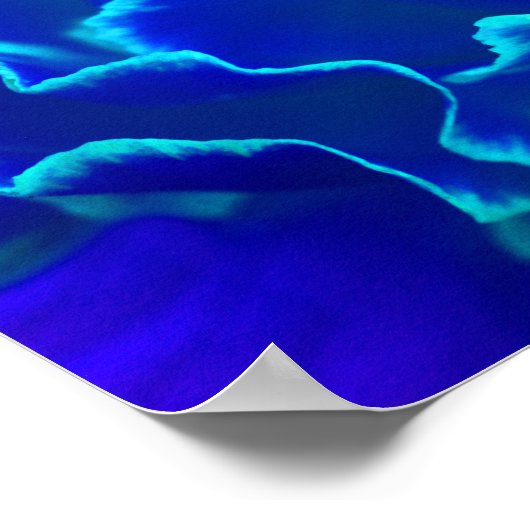 Poster Fleur d'oeillet bleu et Turquoise (Coin)