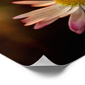 Poster Fleur d'oie (Coin)