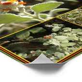 Poster fleur d'orange (Coin)