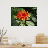 Poster fleur d'orange 02 (Cuisine)