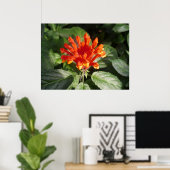Poster fleur d'orange 02 (Bureau à domicile)