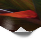 Poster Fleur d'orange exotique (Coin)