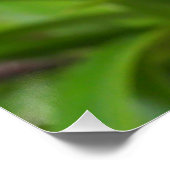 Poster Fleur d'orchidée (Coin)