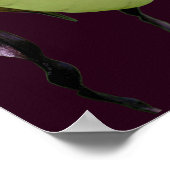 Poster Fleur d'orchidée blanche (Coin)