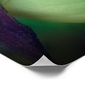 Poster Fleur d'orchidée blanche à une seule dame (Coin)