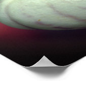 Poster Fleur d'orchidée blanche Lady Grosse (Coin)