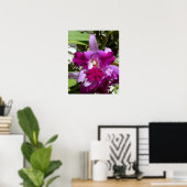 Poster Fleur d'orchidée de Cattleya tropicale (Bureau à domicile)