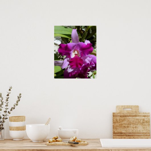 Poster Fleur d'orchidée de Cattleya tropicale (Cuisine)