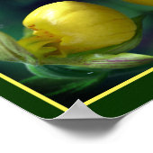 Poster Fleur d'orchidée de chèvre jaune sauvage Abstraite (Coin)