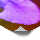 Poster Fleur d'orchidée sauvage (Coin)
