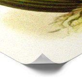 Poster Fleur d'orchidée vintage Oncidium Gardneri (Coin)