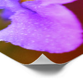 Poster Fleur d'orchidées sauvages (Coin)