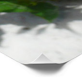 Poster Fleur double hibiscus rouge (Coin)