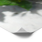 Poster Fleur double hibiscus rouge (Coin)