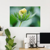 Poster Fleur D'Ouverture De La Fleur De Cône (Bureau à domicile)